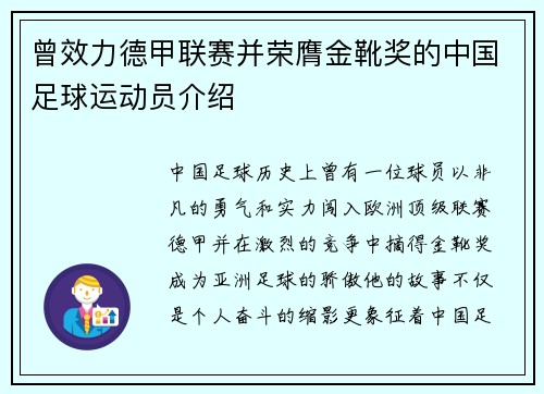 曾效力德甲联赛并荣膺金靴奖的中国足球运动员介绍
