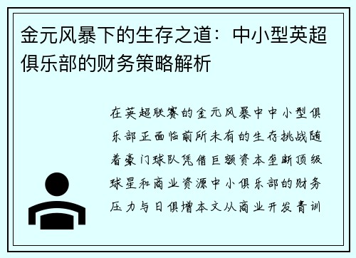 金元风暴下的生存之道：中小型英超俱乐部的财务策略解析